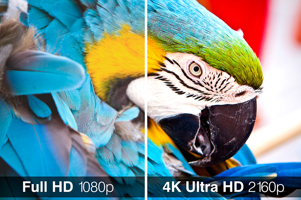 4K VS 1080P